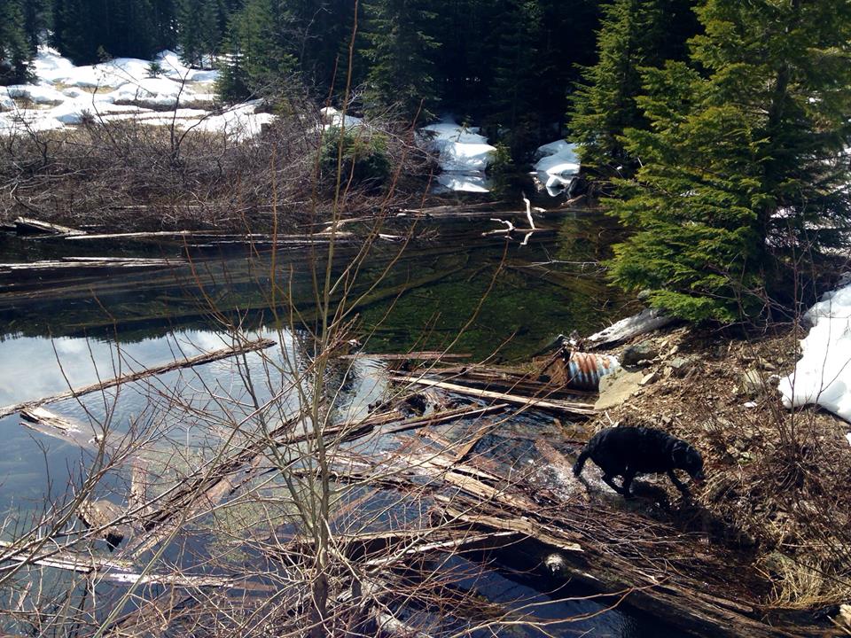 The little lake at the bottom of the Basin. Tracks continued up the trail in the snow directly behind me.