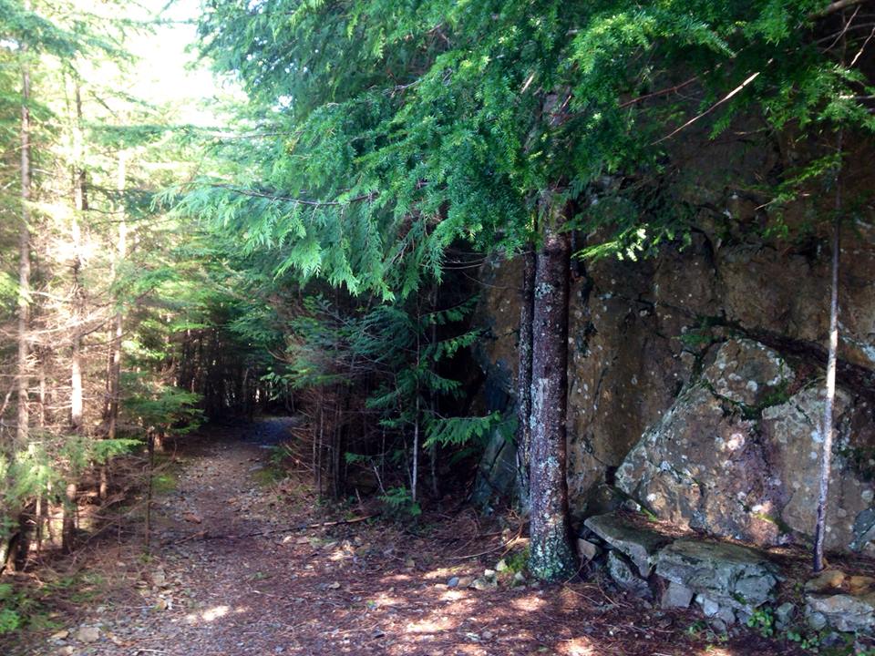 The Owl hike spot on the trail skirts a pretty cool steep rock wall with views out to North Bend
