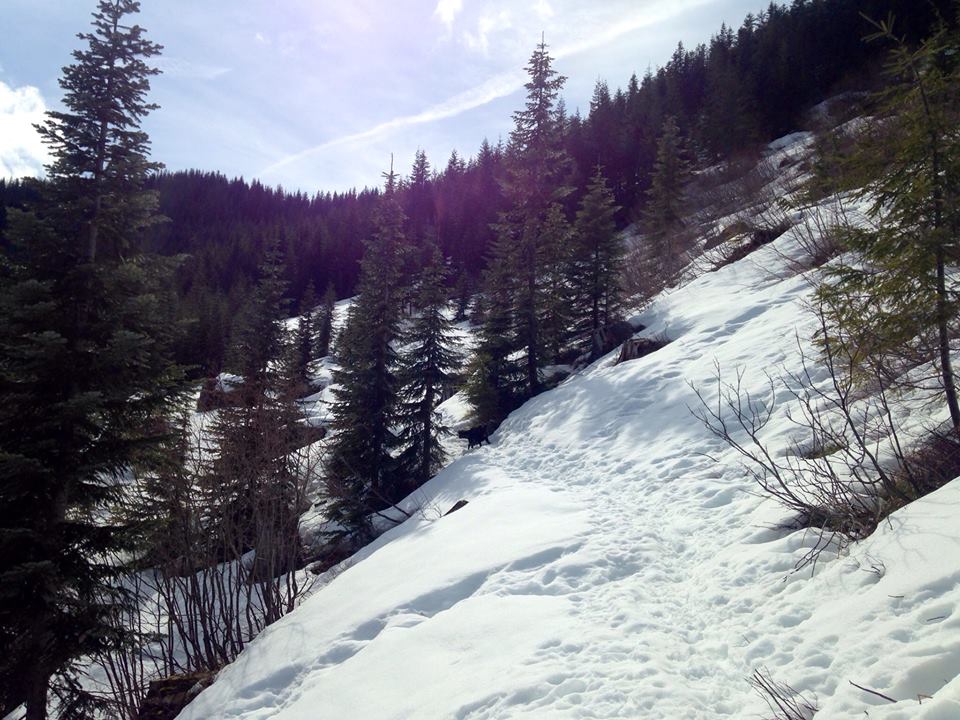 On the way up through the basin