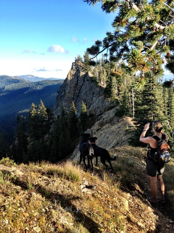 Looking at what we think is the summit of Clifty, but it actually continues on a short ways along a spine to the real summit.