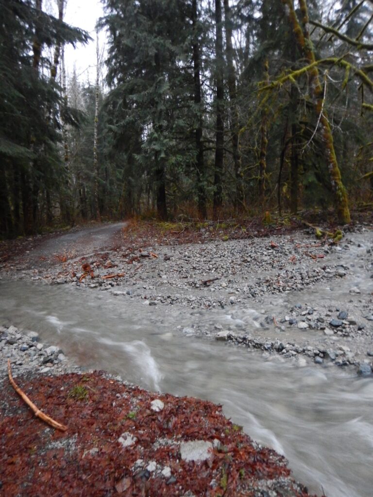 The water crossing that stopped us the previous night looked like nothing in the morning! You can see the debris field of where it was running the night before. Believe me, it was a whole lot scarier then. 