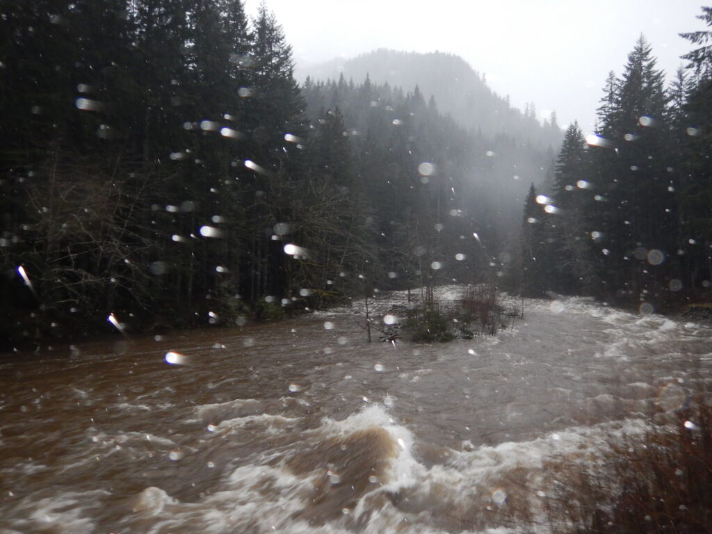 The Snoqualmie River from the Taylor Bridge. We sure were glad that bridge was sturdy and tall!