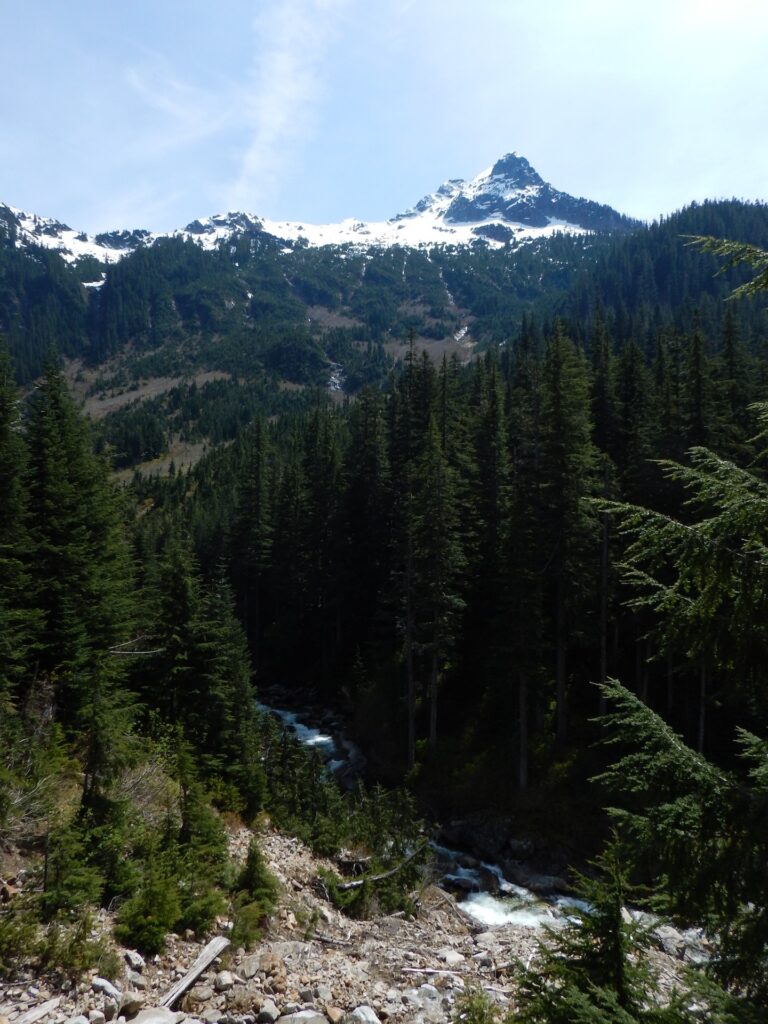 Everytime I think the Middle Fork Valley couldn't possibly get any prettier, it somehow manages to do so!