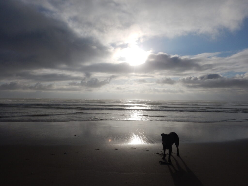 An evening stroll on the beach a few steps from our campsite. This is living!