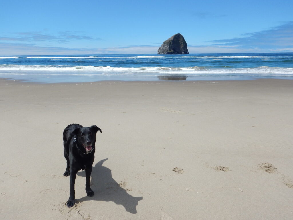 Cape Kiwanda north of Pacific City. You can drive onto the beach here!