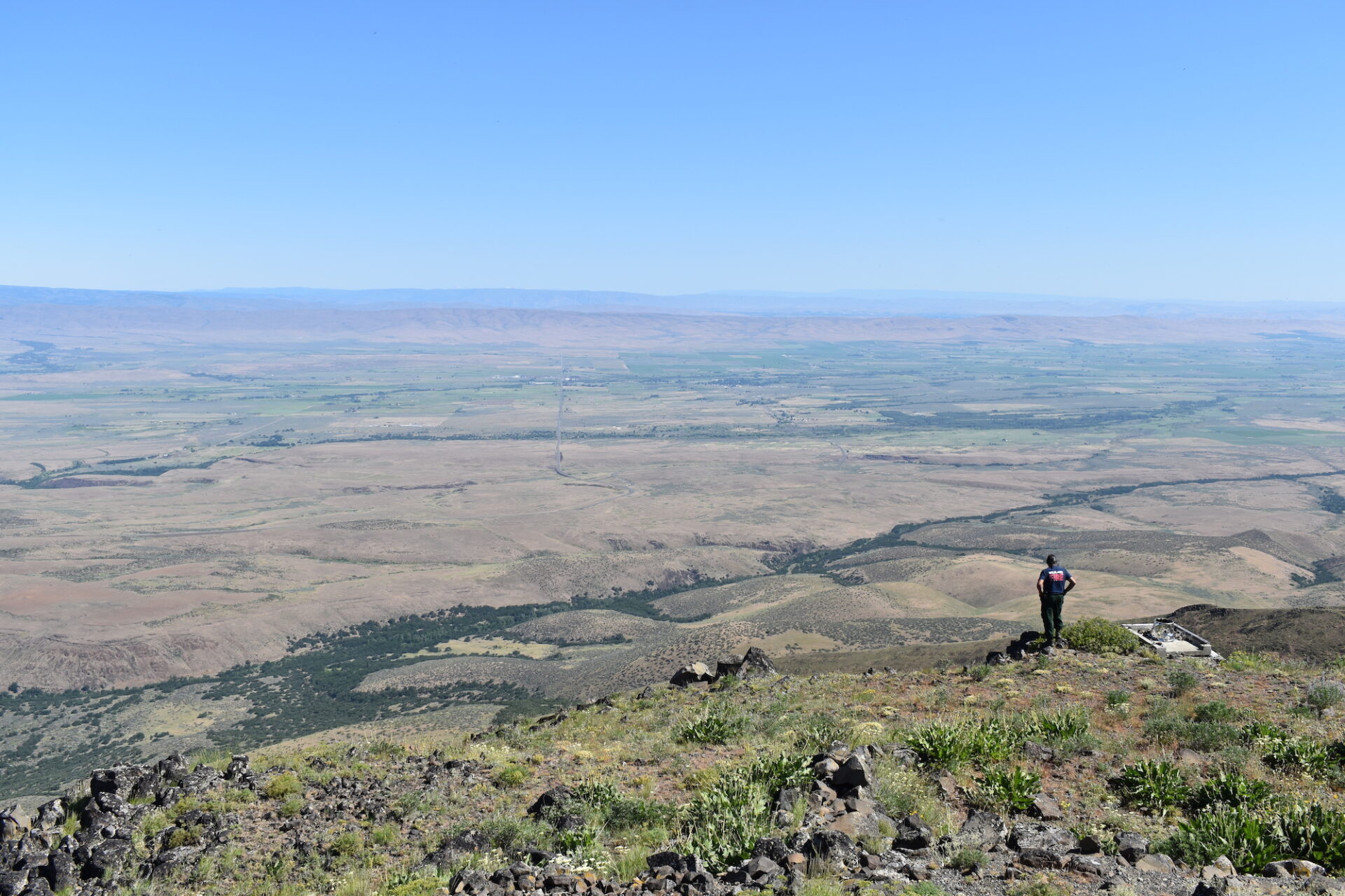 Why the Yakama Nation has a herd of buffalo – and why it's growing -  Northwest Public Broadcasting