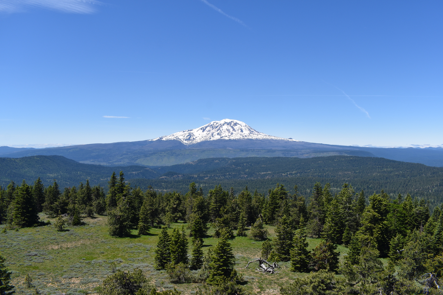 Mount Adams – TrailChick