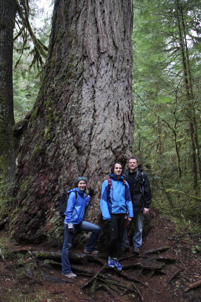 That is one big tree! My favorite tree on the hike to the springs