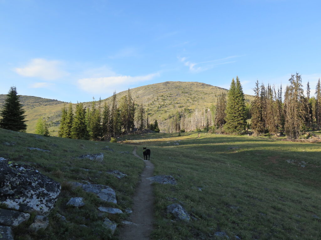 On the trail to Tiffany Mountain. Jake's very first backpacking adventure!