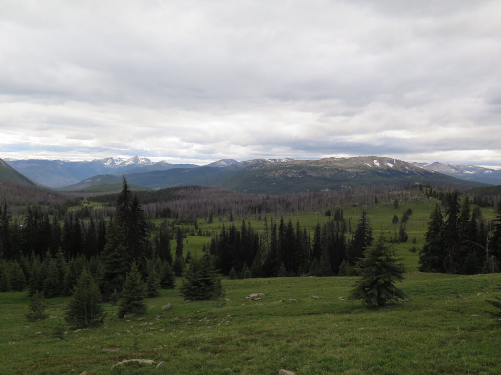 The meadows of Horseshoe Basin from near Sunny Pass