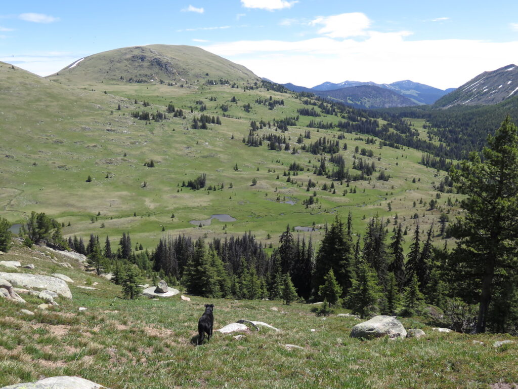 Heading down from Rock Mountain, following my trusty leader :)