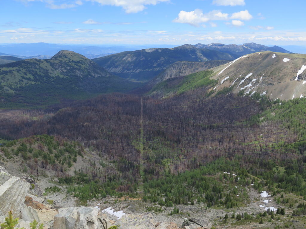 The 20' clearcut denoting the US-Canada border. Impressive, right!?