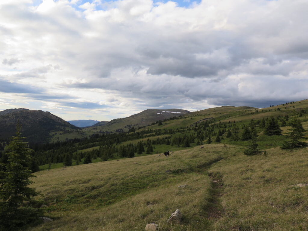 Talk about wide open spaces! This is the trail we followed partially up to Horseshoe Mountain, Armstrong Mountain in the distance.