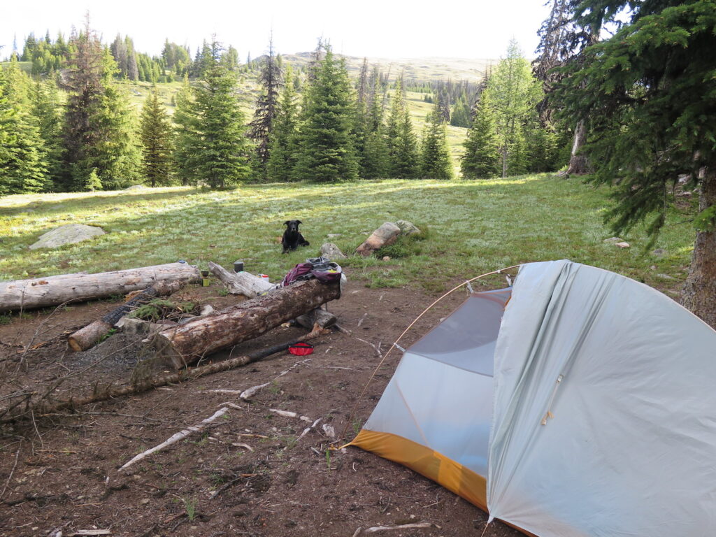 Our fantastic little camp spot near the Smith Lake junction gave us lots of privacy and wind protection. Despite others camping nearby, I never saw or heard anyone all weekend!