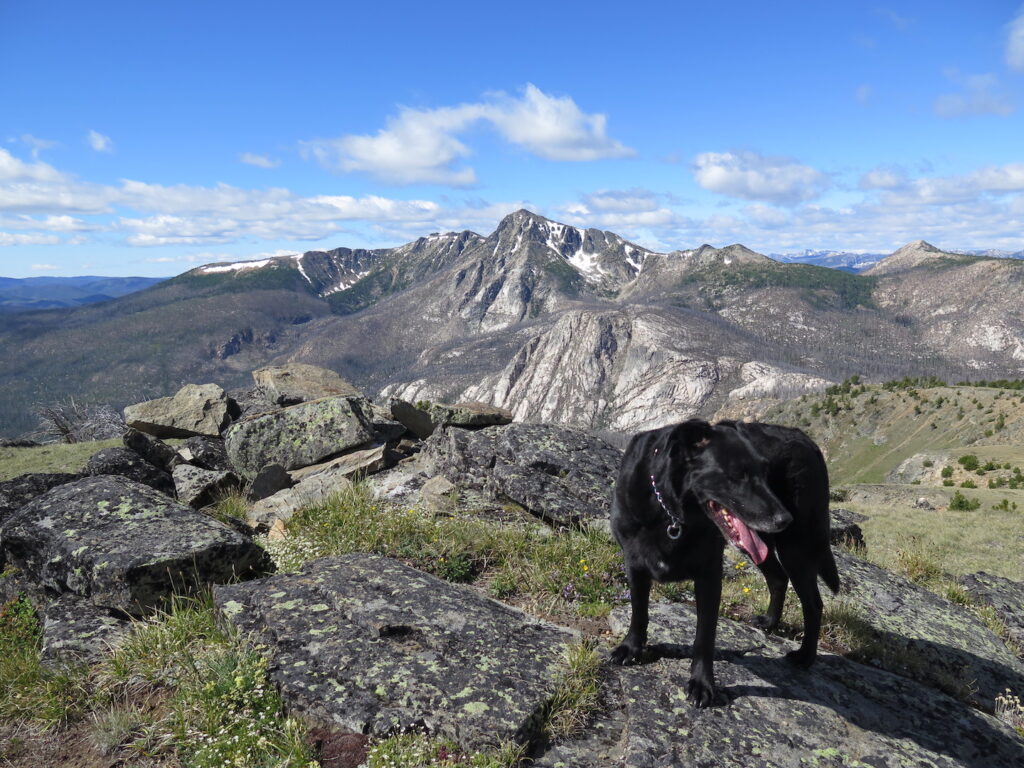 Jake on the top of Pick Peak near Sunny Pass.