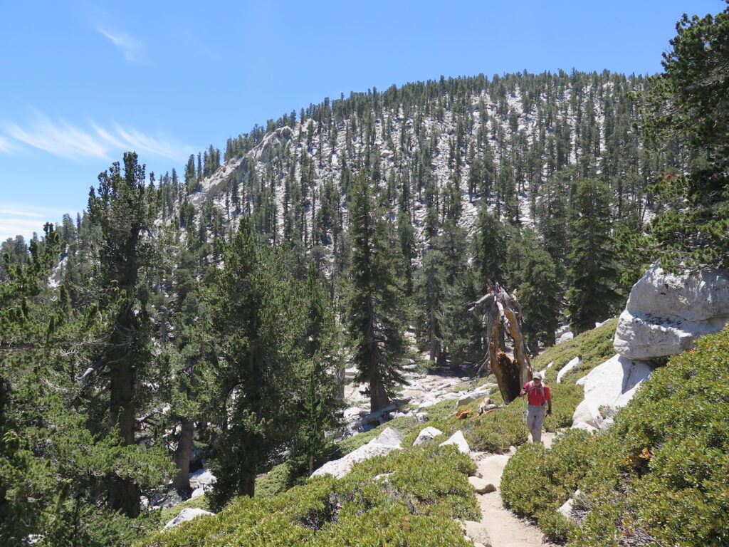 On the San Jacinto trail