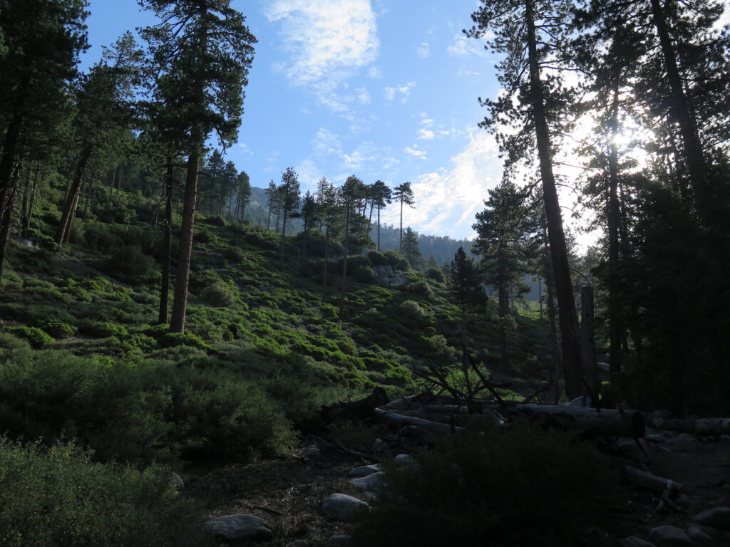 Hello, is this California!? The San Gorgonio trail turned out to be fantastically gorgeous!