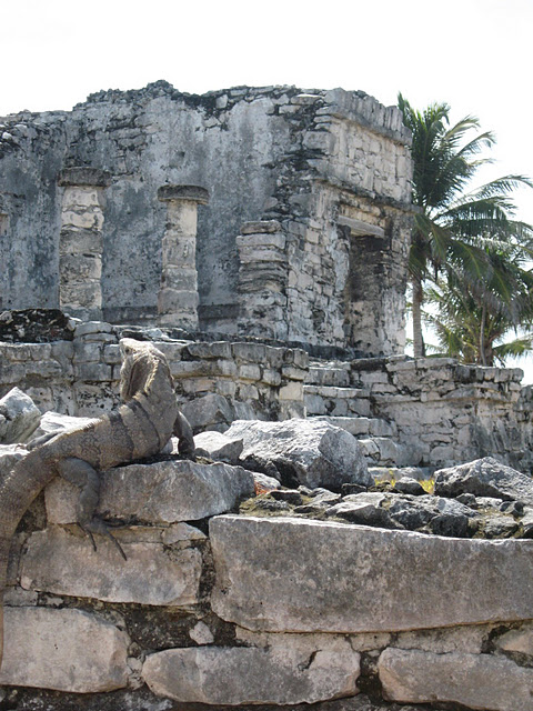 The ruins at Tulum