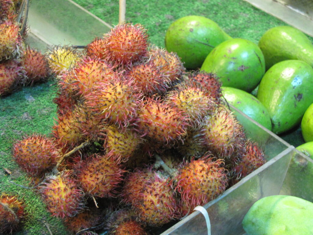 Rambutan: something new!