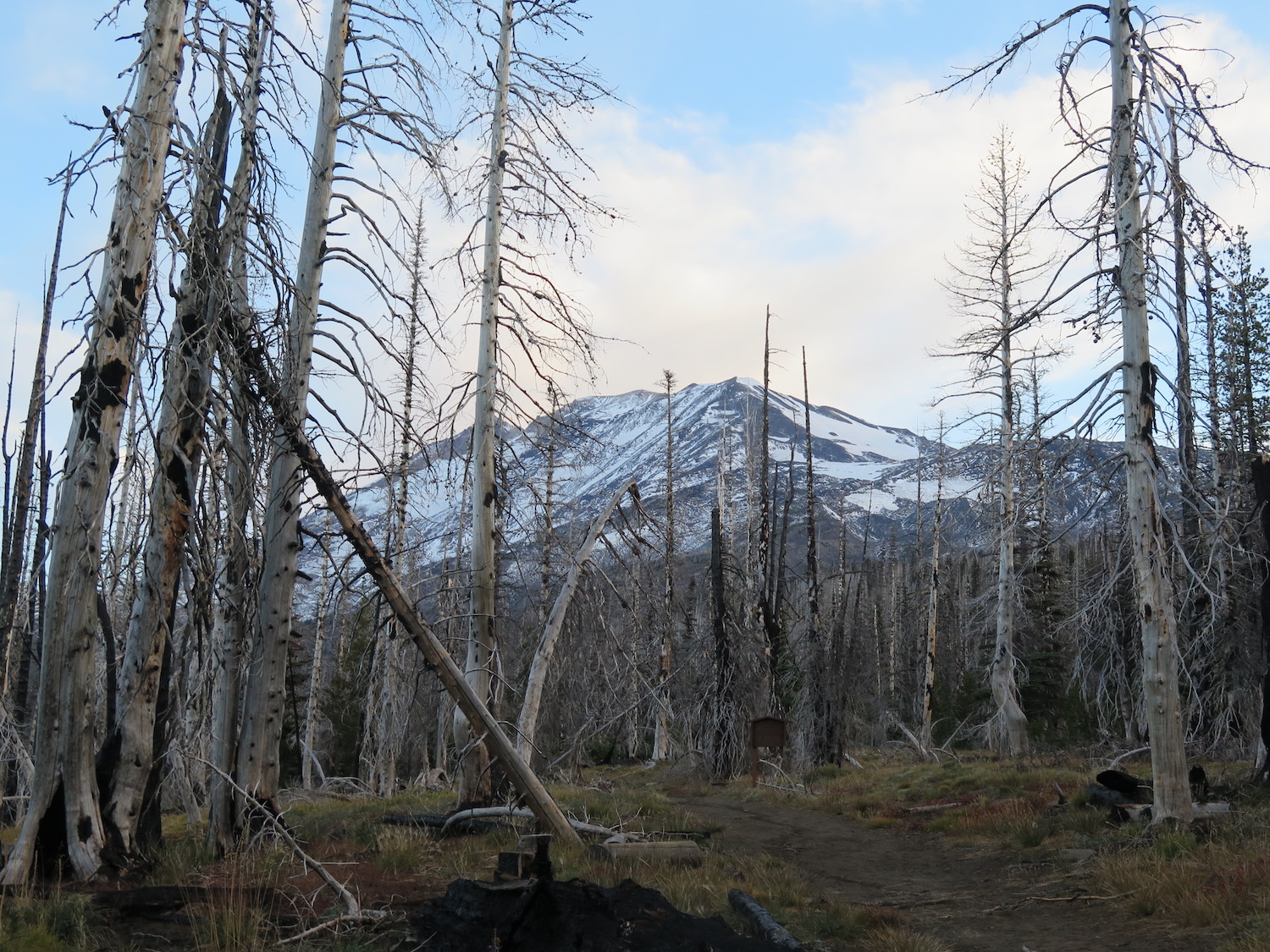 Mount Adams – TrailChick