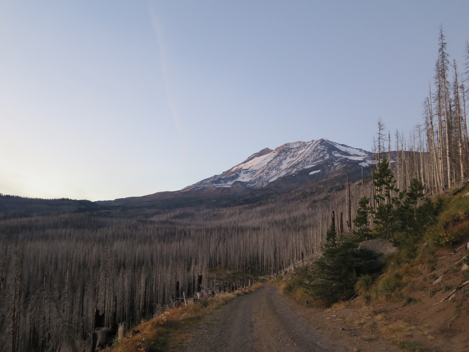 Mount Adams – TrailChick