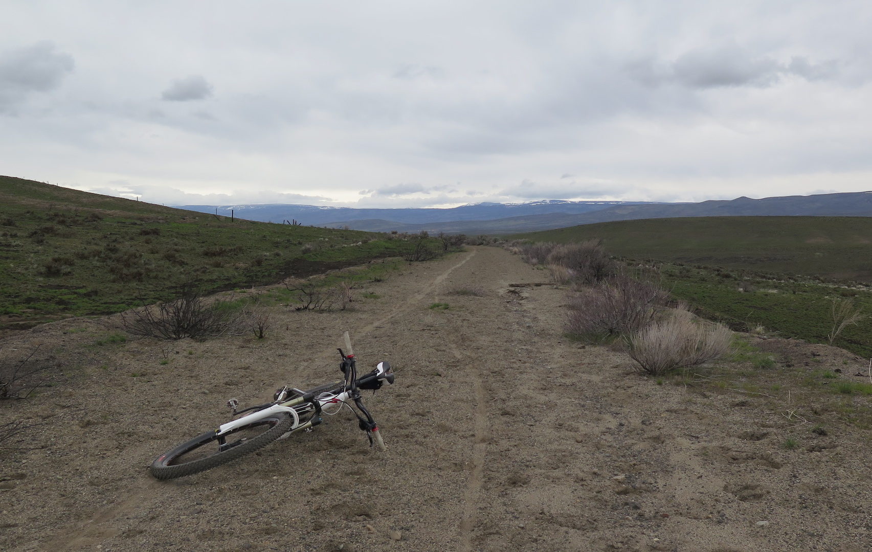 Biking the Palouse to Cascades State Park Trail: Renslow to the Columbia –  TrailChick