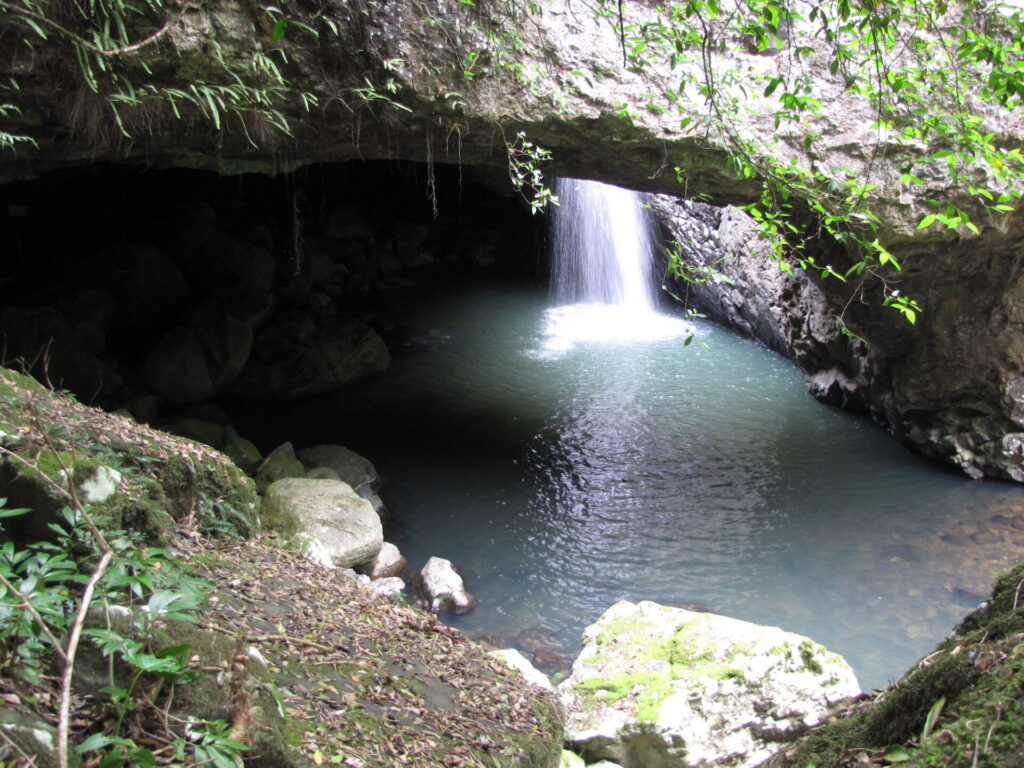 Springbrook National Park in the Numinbah Valley near the Queensland-New South Wales border