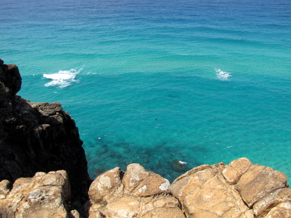 The view from Indian Head. Yes, there really is a swimmer down there. Spearfishing. In what's known as very shark-infested waters. To quote my Aussie friend: Bloody hell!