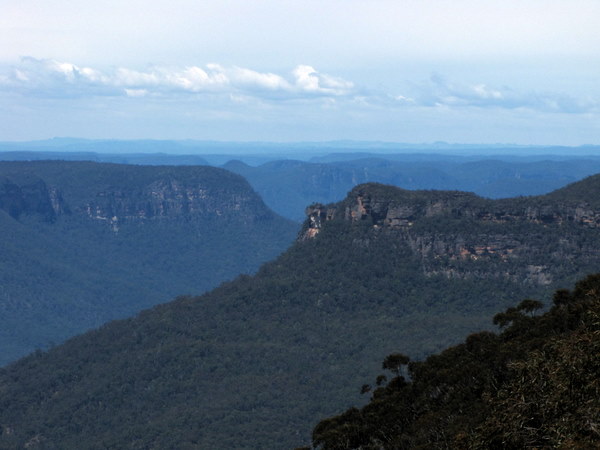 The blue haze is supposedly caused from the oils of eucalyptus trees