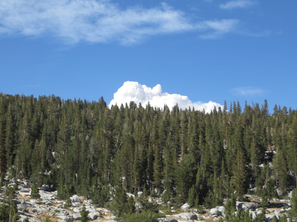 Watching a smoke plume at Thousand Island Lake from a nearby fire near June Lake