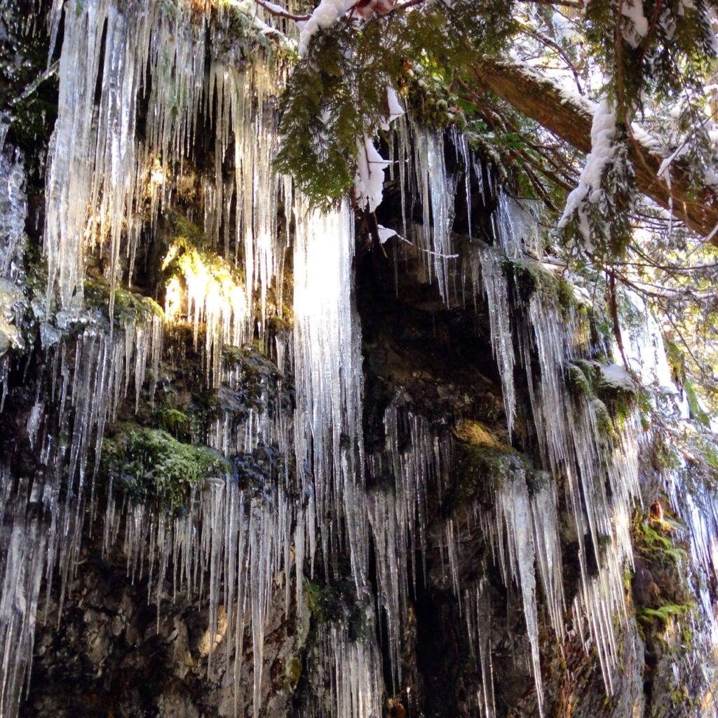 The sunlight reflecting through the ice on the trail was beautiful! Warming temperatures were sending these crashing to the ground. Luckily most weren't directly above the trail!