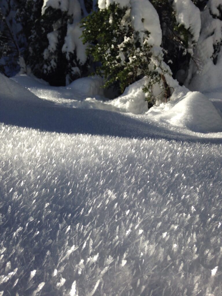 Simply amazing hoar frost!