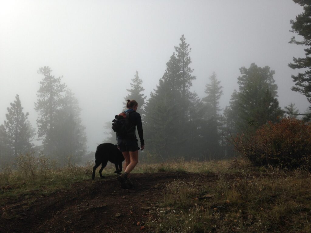 Starting the hike up into the fog