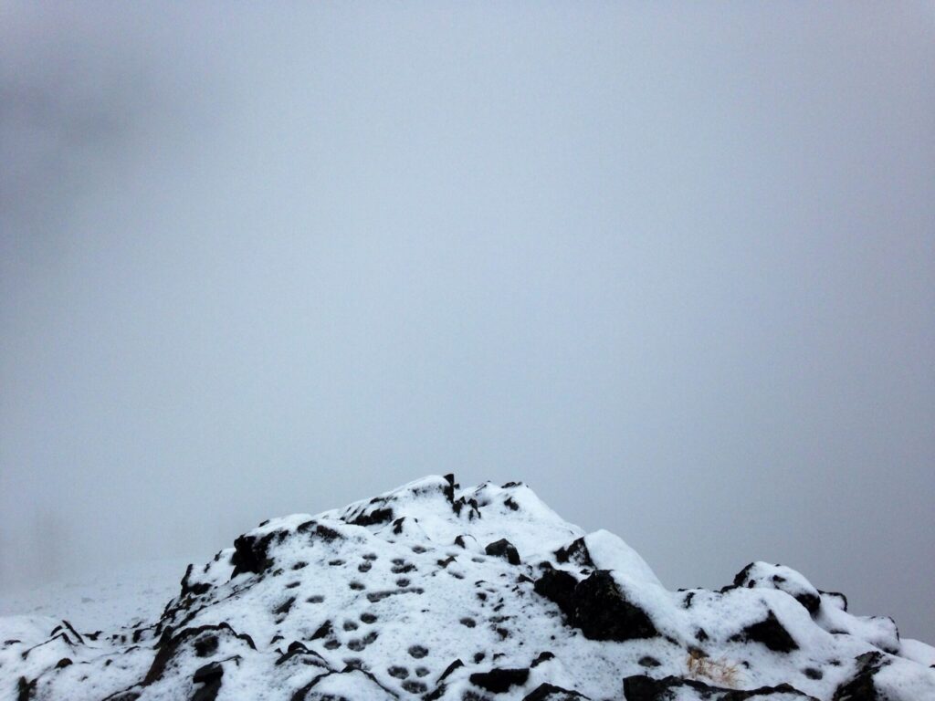 Our views from Navajo Peak: absolutely none!