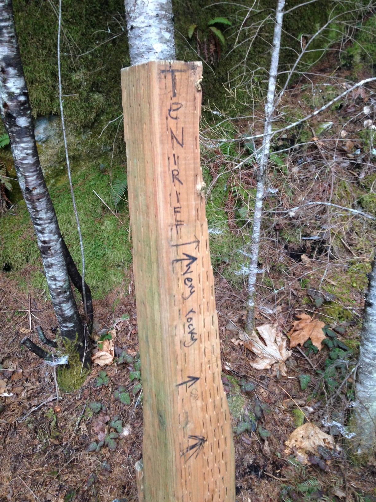 The sign to Teneriffe. "Very rocky" was correct. What would have been better was "very rocky and an eventual suicidal grade"