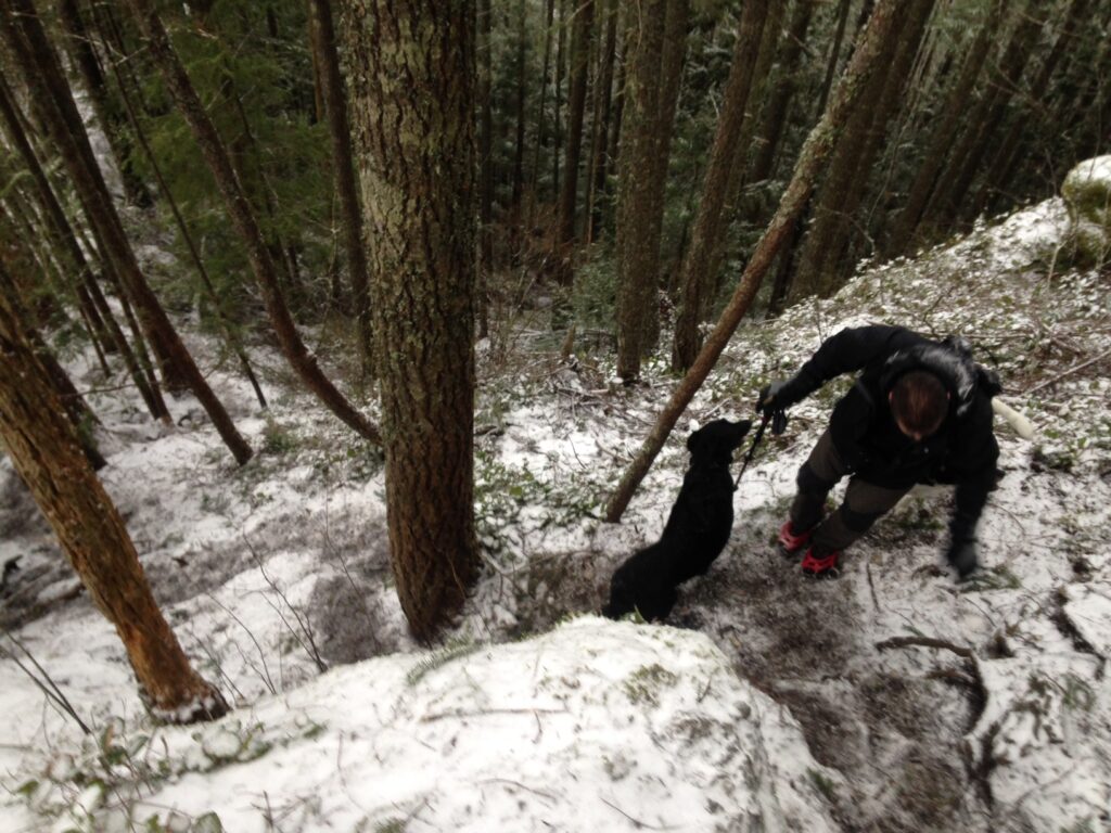 Trying to give some perspective on the steep grade of this trail. A few feet ahead meant about 100' down, haha. It was brutal.