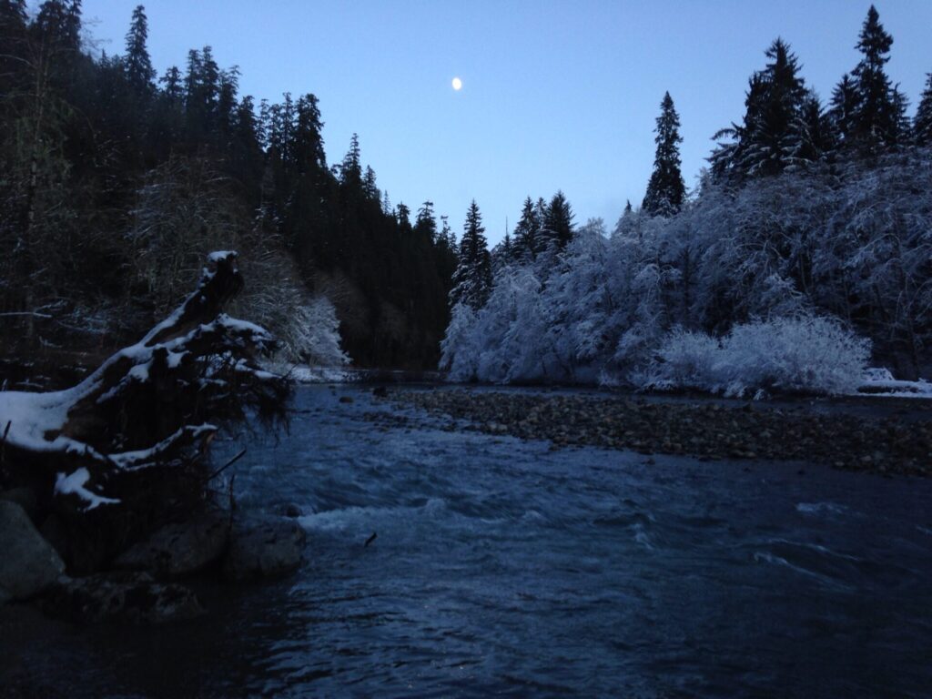 I had to stop on the drive back out to enjoy the rising moon and the beautiful frosty trees